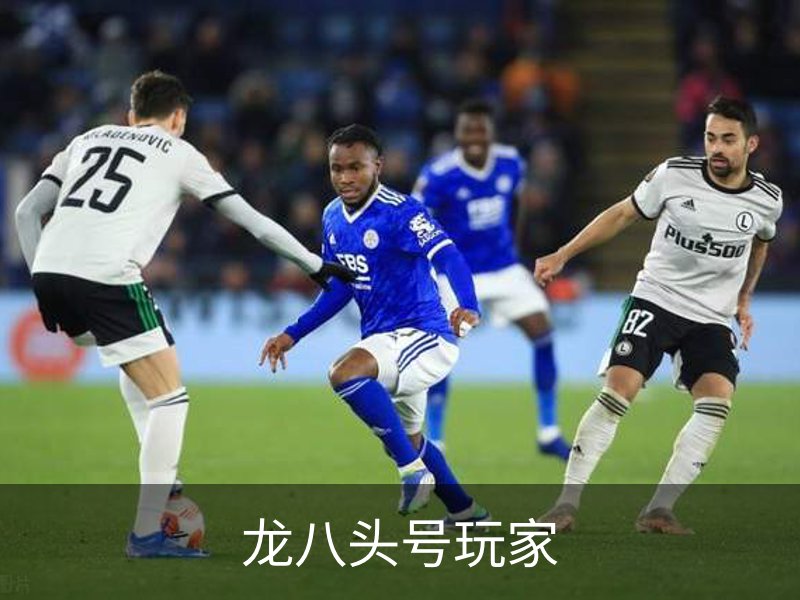 龙八头号玩家概况